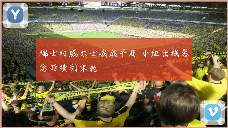 瑞士对威尔士战成平局 小组出线悬念延续到末轮