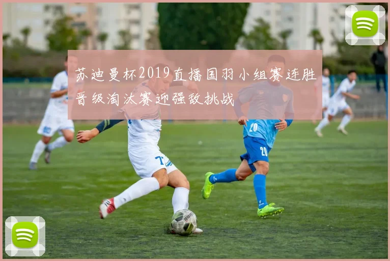 苏迪曼杯2019直播国羽小组赛连胜晋级淘汰赛迎强敌挑战