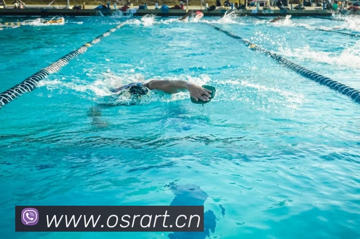 App Interface Preview